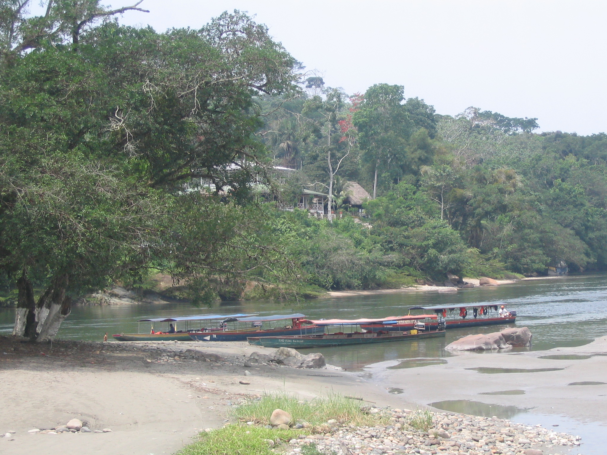 Flußlandschaft am Rio Napo